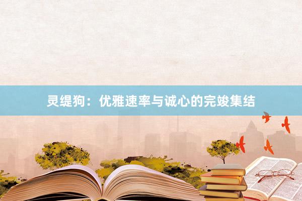 灵缇狗:优雅速率与诚心的完竣集结