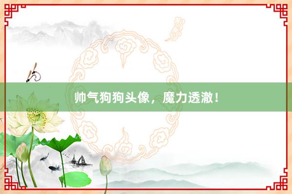 帅气狗狗头像，魔力透澈！